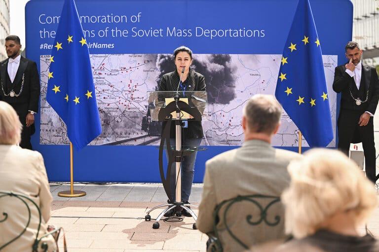 europarlamentar georgiana teodorescu