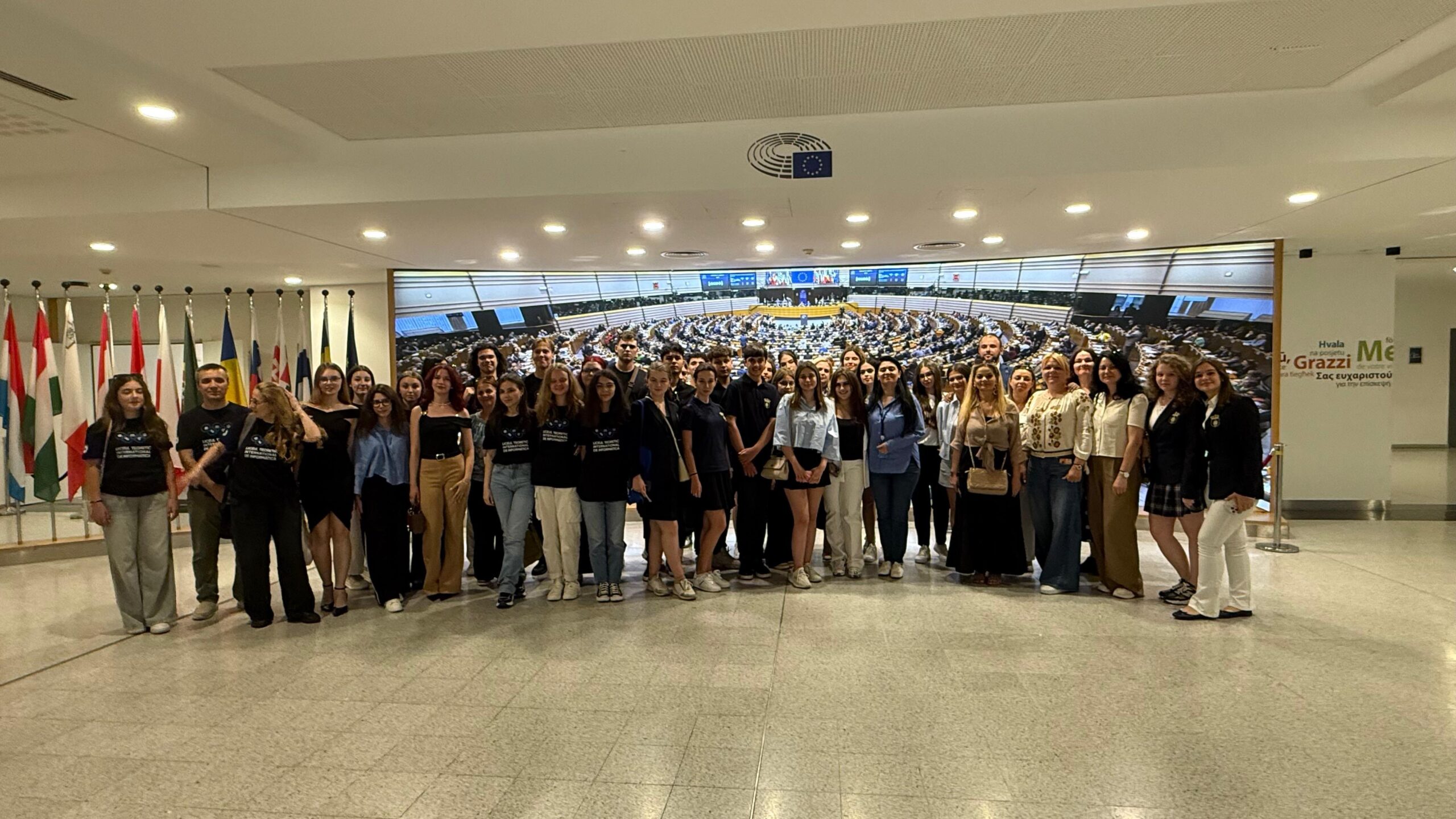 europarlamentar georgiana teodorescu