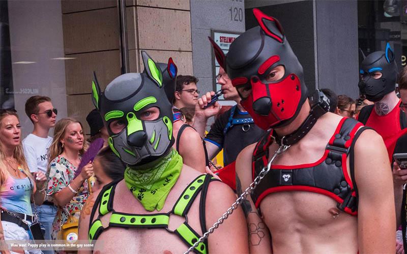 europarlamentar georgiana teodorescu